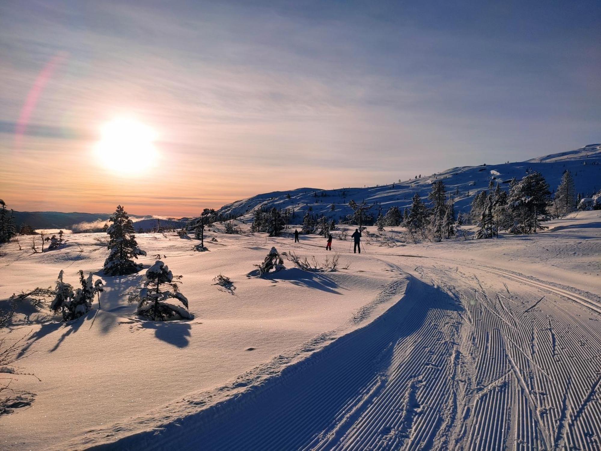 Hytte Ved Vravatnet I Vradal Exterior foto