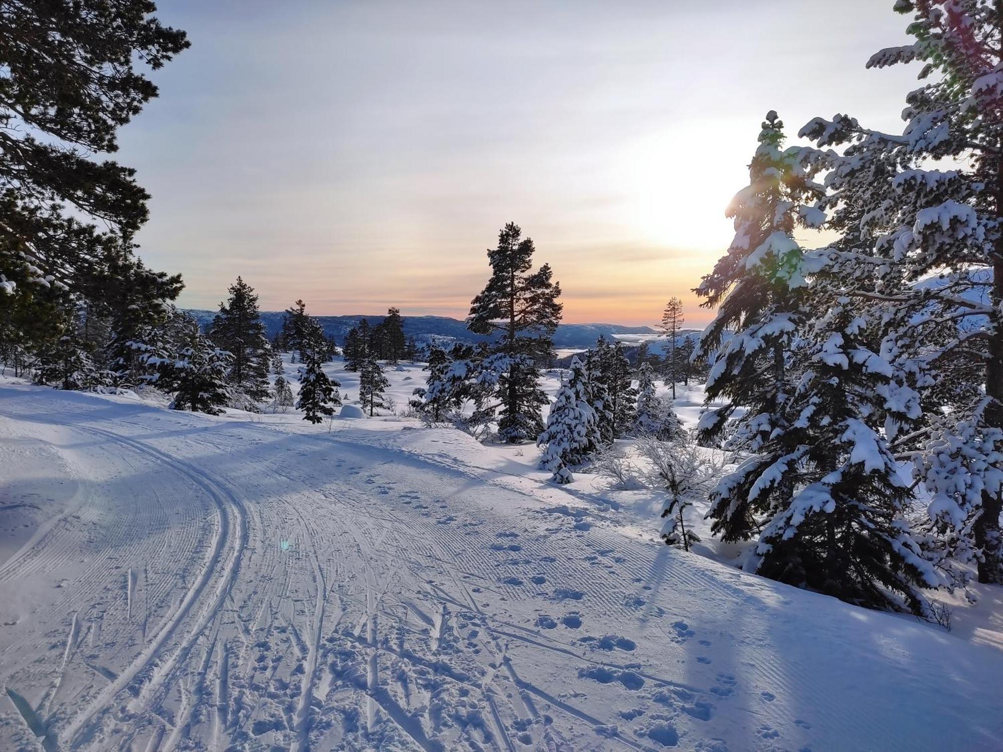 Hytte Ved Vravatnet I Vradal Exterior foto